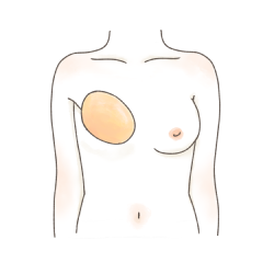 ご使用(例)3枚目