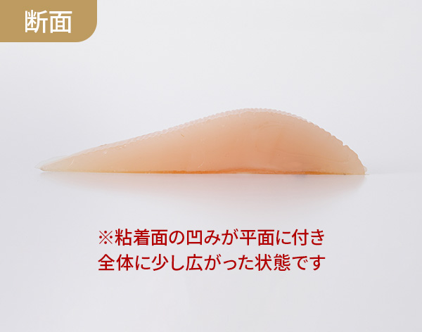 3サイズ_断面